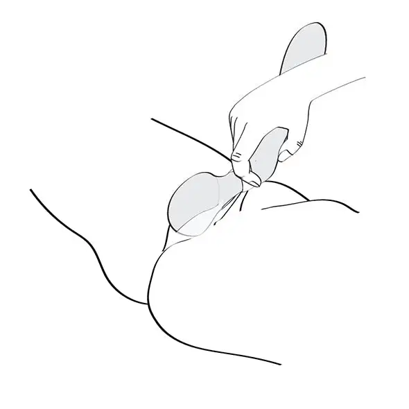 Shunga Zoa Intieme Wand Massager 27 Cm - Image 11